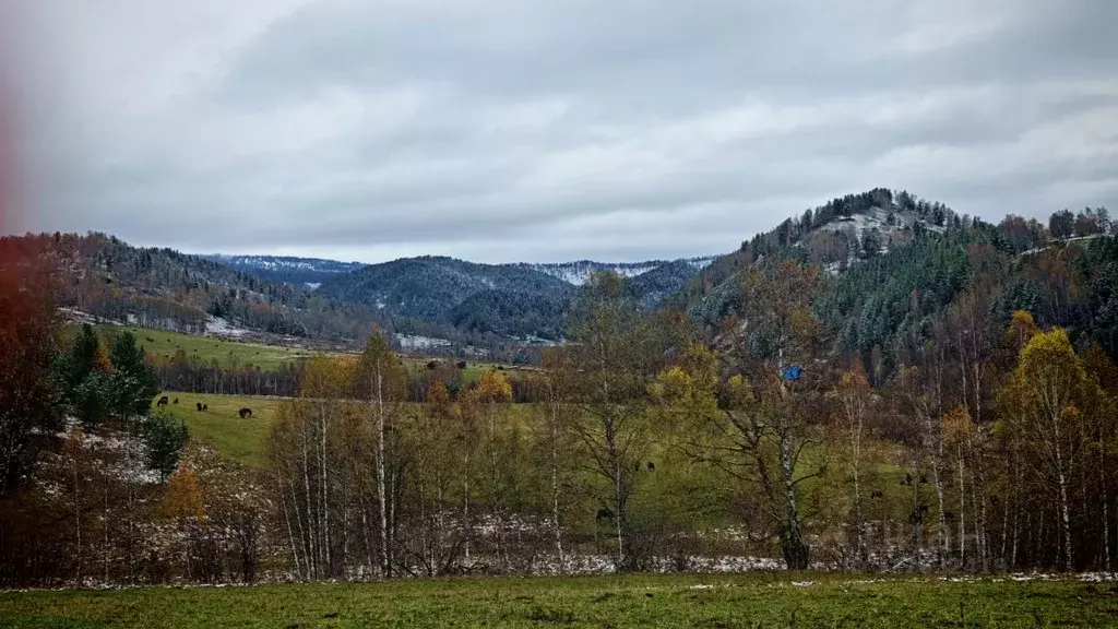 Участок в Алтай, Чемальский район, с. Бешпельтир  (10.0 сот.) - Фото 1