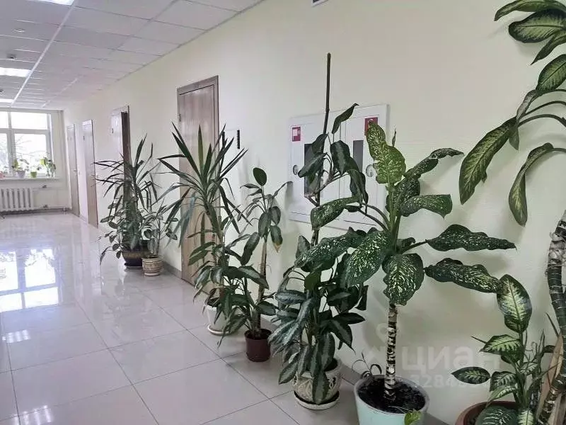 Помещение свободного назначения в Московская область, Подольск ул. ... - Фото 1