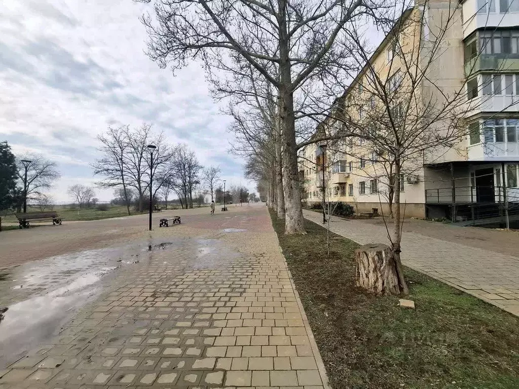 3-к кв. Крым, Саки ул. Курортная (62.4 м) - Фото 1