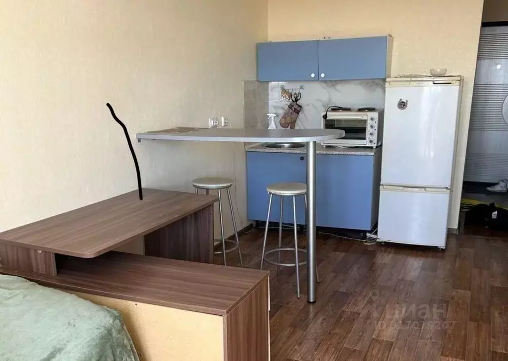 Студия Новосибирская область, Новосибирск ул. Забалуева, 90 (22.6 м) - Фото 1