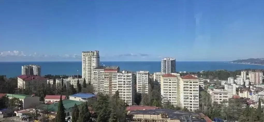 2-к кв. Краснодарский край, Сочи Виноградная ул., 22/1А (44.1 м) - Фото 2