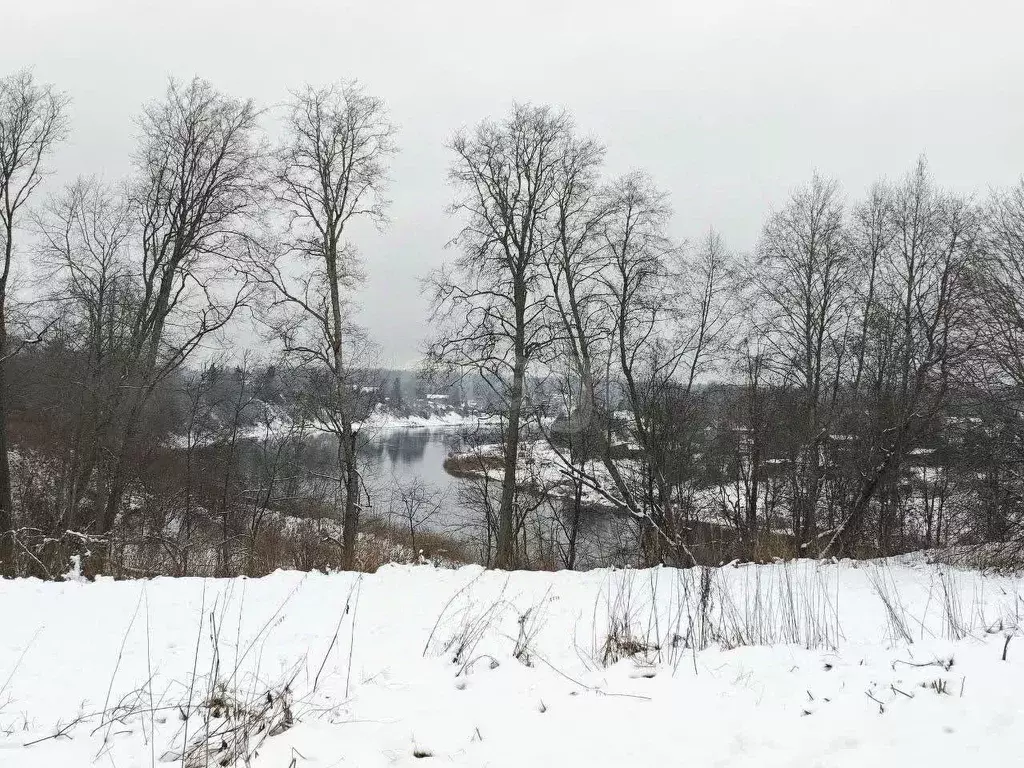 Участок в Ленинградская область, Волховский район, Колчановское с/пос, ... - Фото 1
