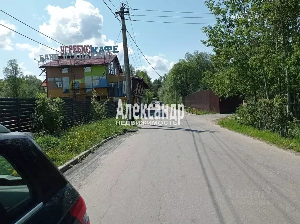 Участок в Ленинградская область, Приозерский район, Ромашкинское ... - Фото 2