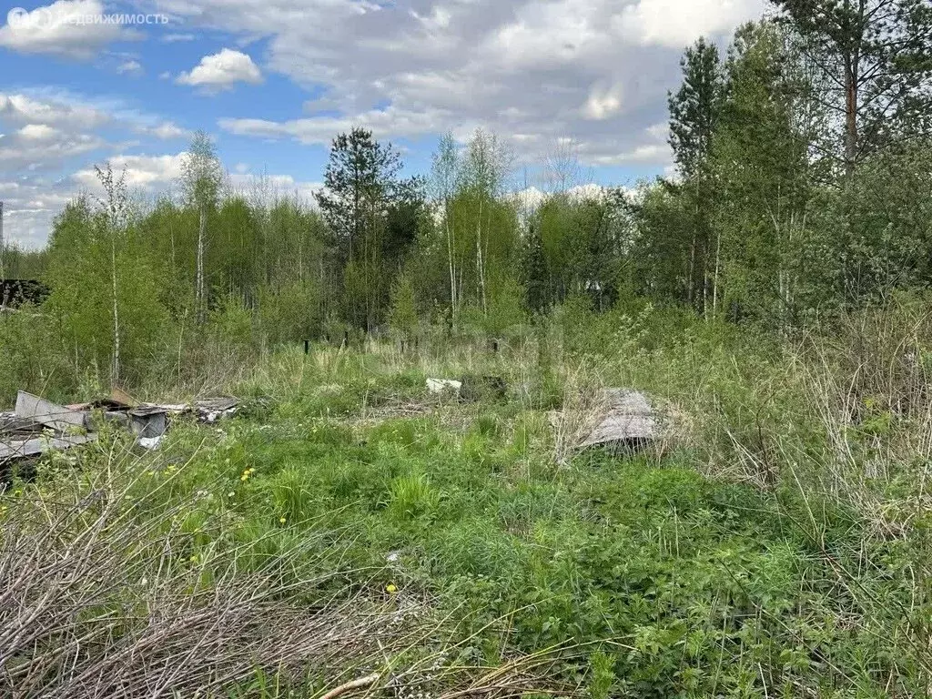 Участок в Морозовский сельсовет, садовое товарищество Берёзка (10 м) - Фото 2