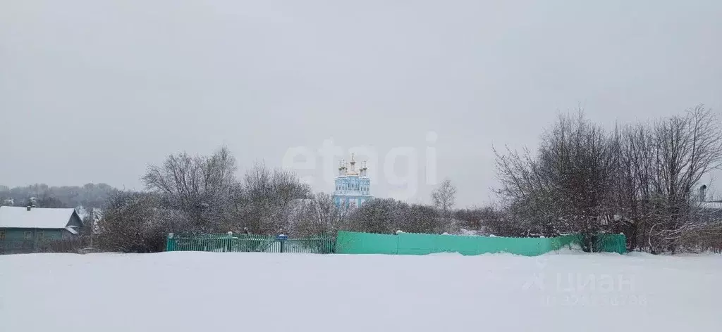 Участок в Вологодская область, Шексна рп пер. Пролетарский (5.6 сот.) - Фото 2