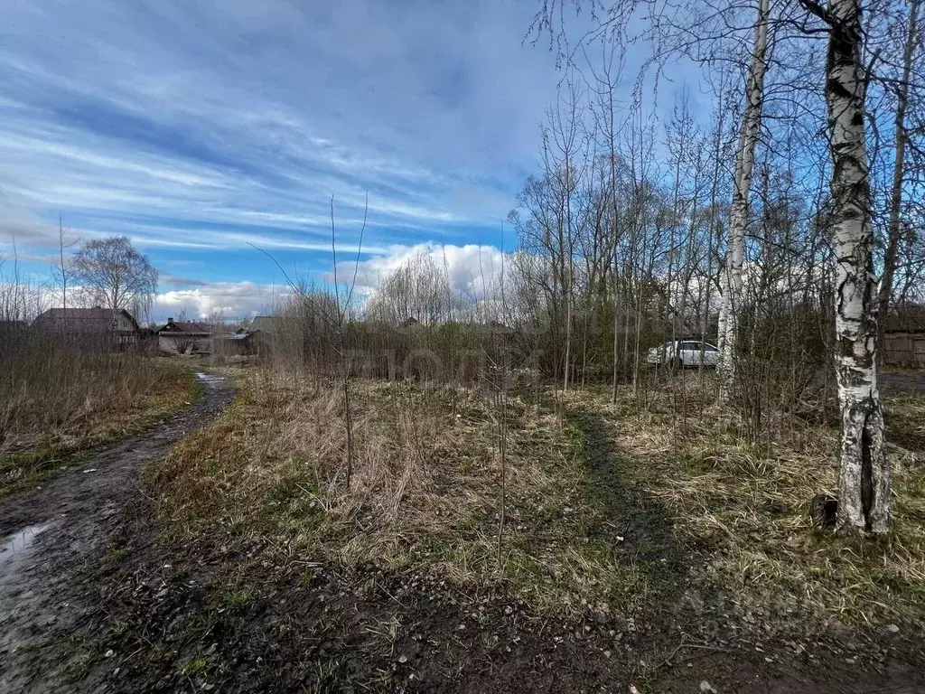 Участок в Новгородская область, Боровичи ул. Салтыкова-Щедрина, 9 ... - Фото 1