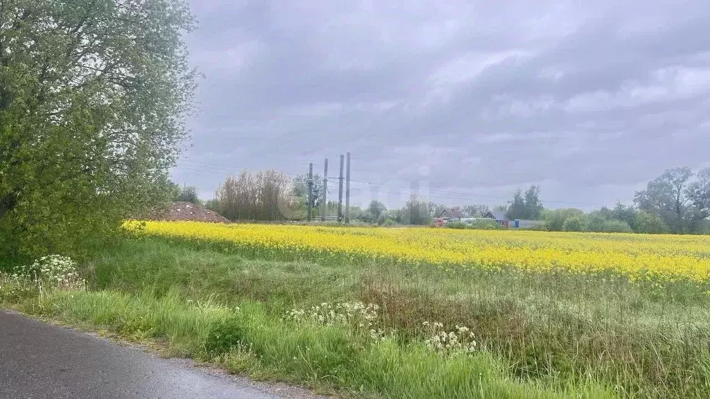 Участок в Калининградская область, Гурьевск  (7.3 сот.) - Фото 1