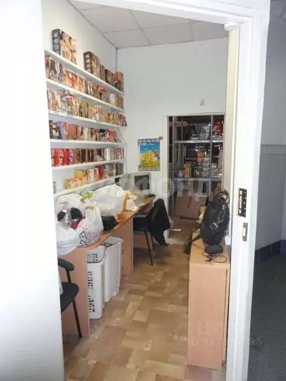 Помещение свободного назначения в Новосибирская область, Новосибирск ... - Фото 0
