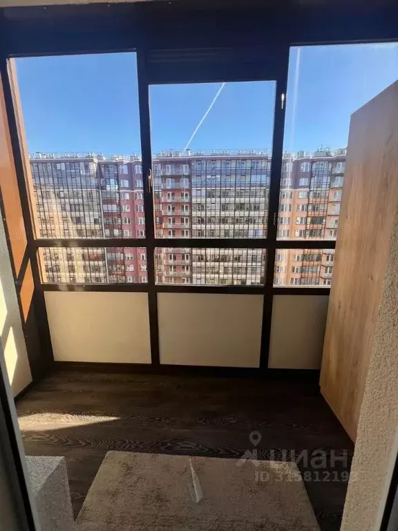 Студия Санкт-Петербург ул. Летчика Лихолетова, 14к2 (25.0 м) - Фото 1