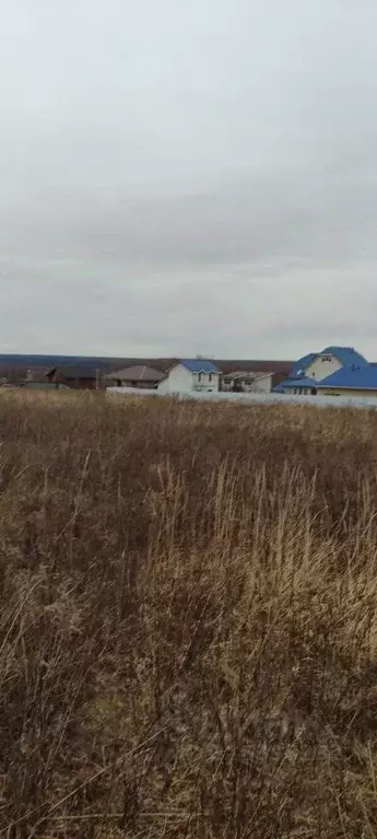 Участок в Московская область, Серпухов городской округ, д. Тульчино  ... - Фото 0