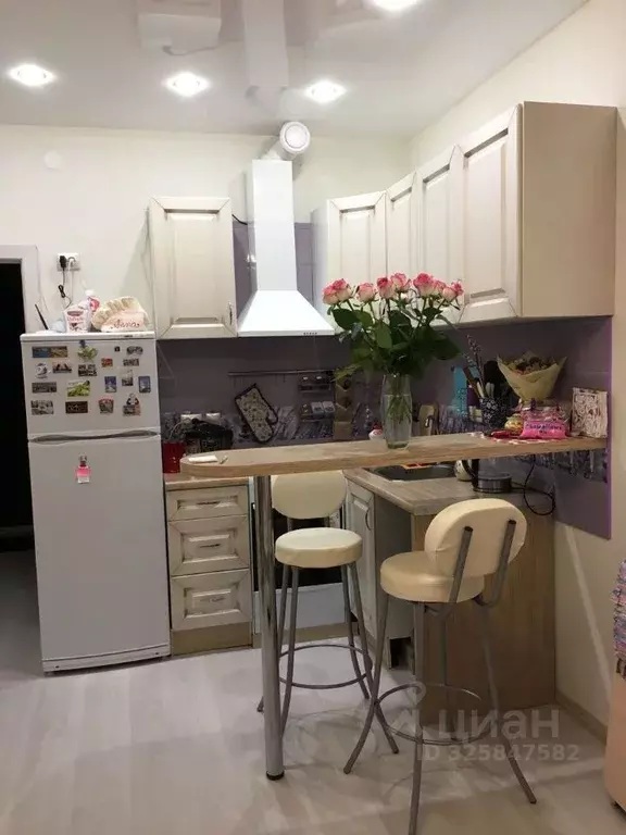 Студия Московская область, Пушкино Первомайская ул., 3А (28.6 м) - Фото 2