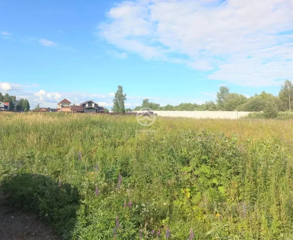 Участок в Московская область, Клин городской округ, Причал кп  (12.0 ... - Фото 1