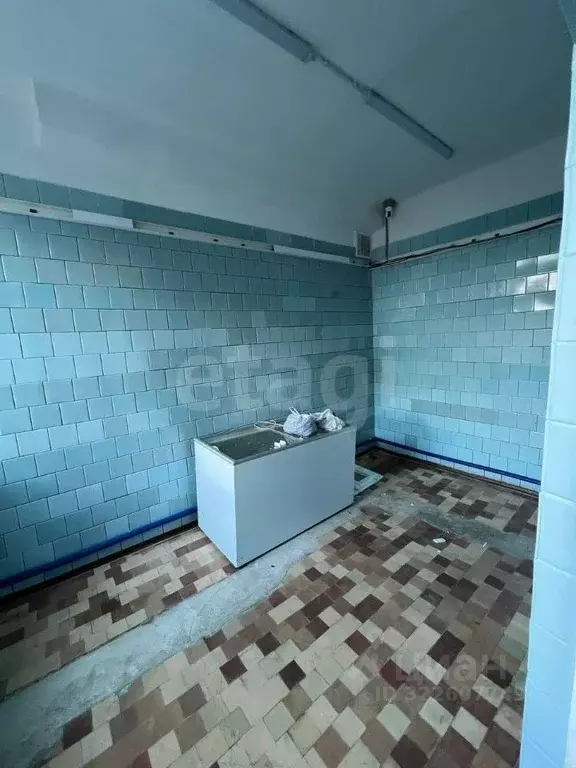 Помещение свободного назначения в Крым, Ялта ш. Южнобережное, 43А (212 ... - Фото 1