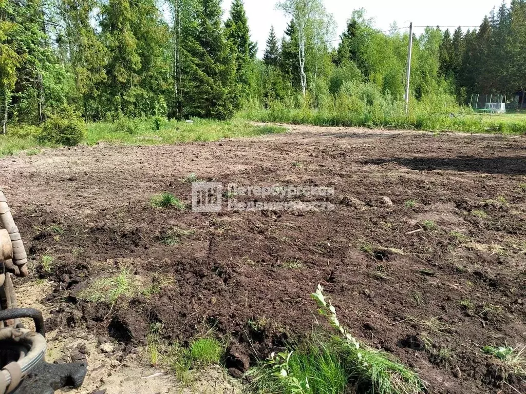 Участок в Ленинградская область, Волховский район, Иссадское с/пос, ... - Фото 2