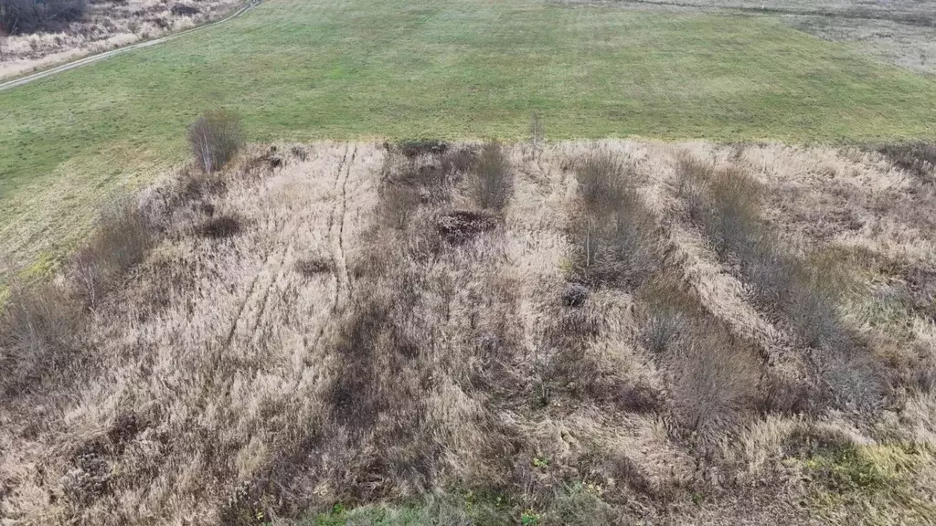 Участок в Московская область, Волоколамский муниципальный округ, с. ... - Фото 2