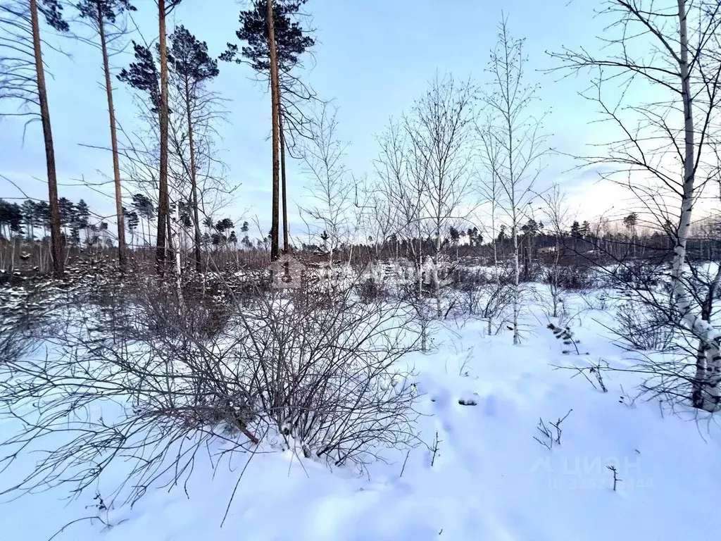 Участок в Забайкальский край, Читинский район, с. Смоленка, Лесное ... - Фото 2