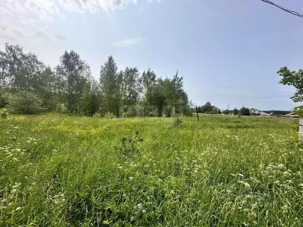 Участок в Владимирская область, Петушинский район, д. Пекша ул. ... - Фото 1