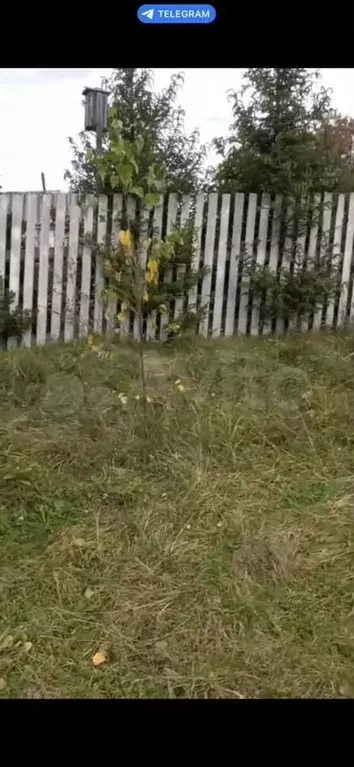 Участок 20,2сот. (ИЖС) - Фото 0