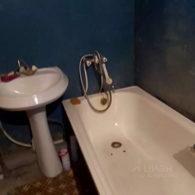 Дом в Брянская область, Выгоничский район, Орменское с/пос, с. ... - Фото 2