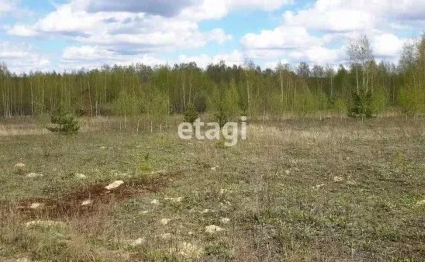Участок в Владимирская область, Петушинское муниципальное образование, ... - Фото 1