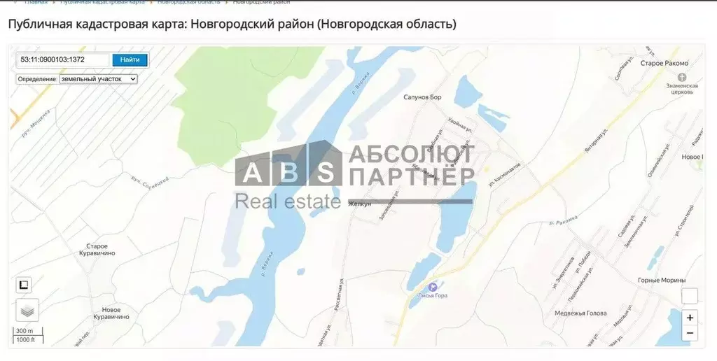 Участок в Новгородская область, Новгородский район, Ракомское с/пос, ... - Фото 1