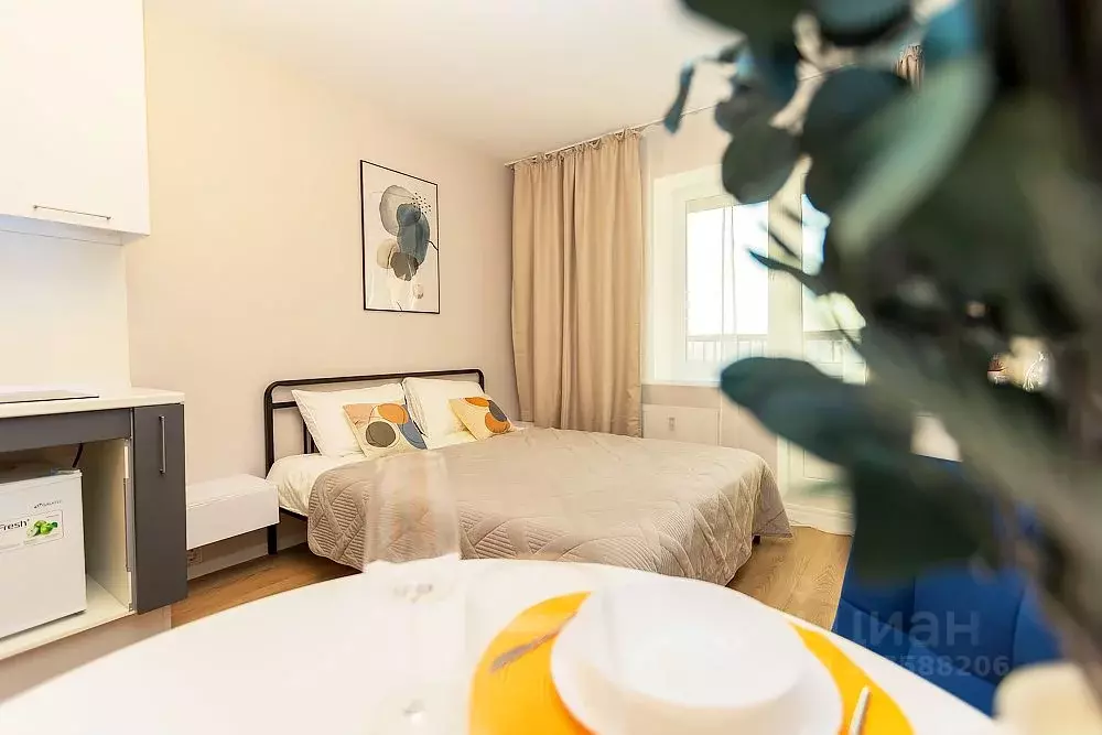 Студия Санкт-Петербург ул. Гудиловская, 9 (24.0 м) - Фото 2