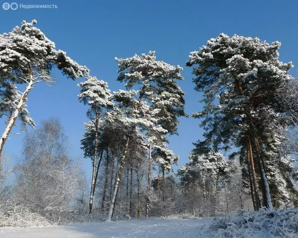 Участок в посёлок Гагарский, загородный комплекс Лайф (7 м) - Фото 0