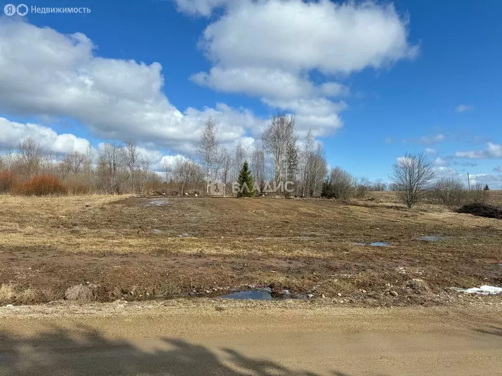 Участок в Вологодская область, Кирилловский муниципальный округ, ... - Фото 1