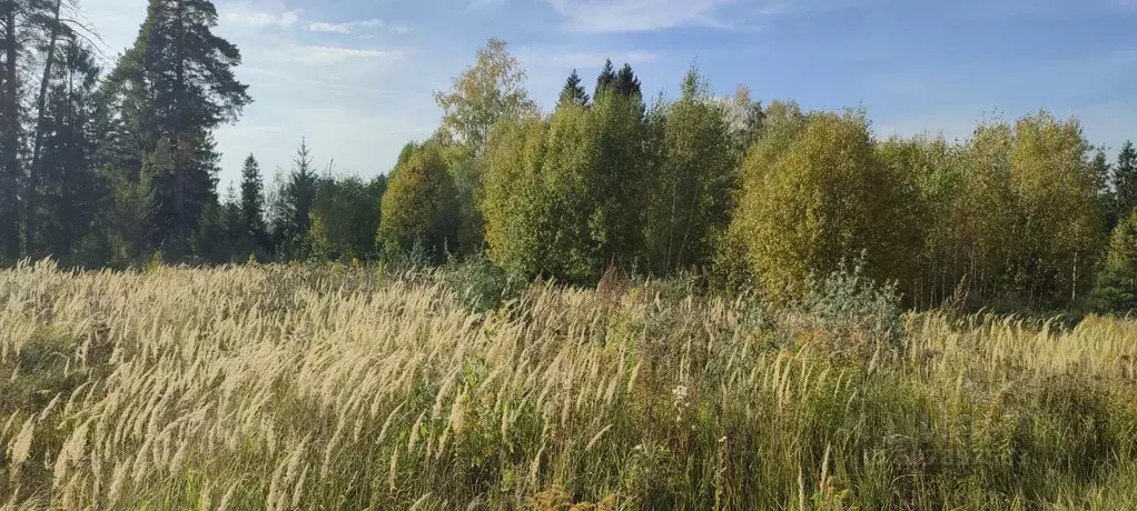 Участок в Владимирская область, Киржач Красный Октябрь мкр, ул. ... - Фото 1