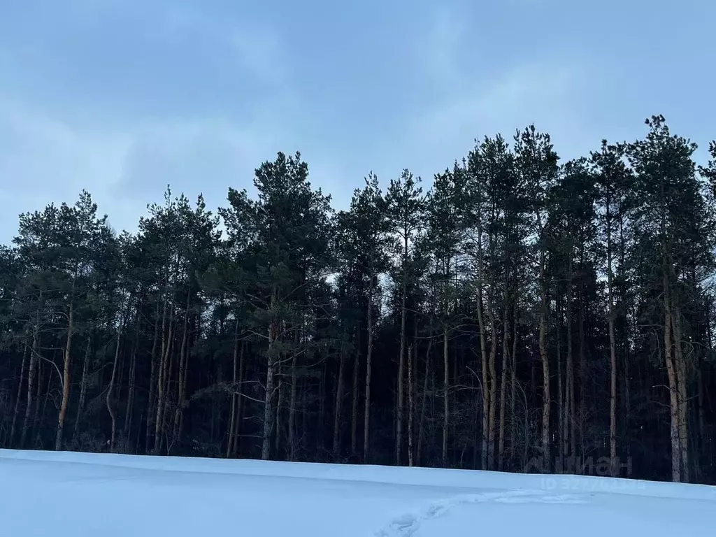 Участок в Саратовская область, Энгельсский район, Красноярское ... - Фото 2