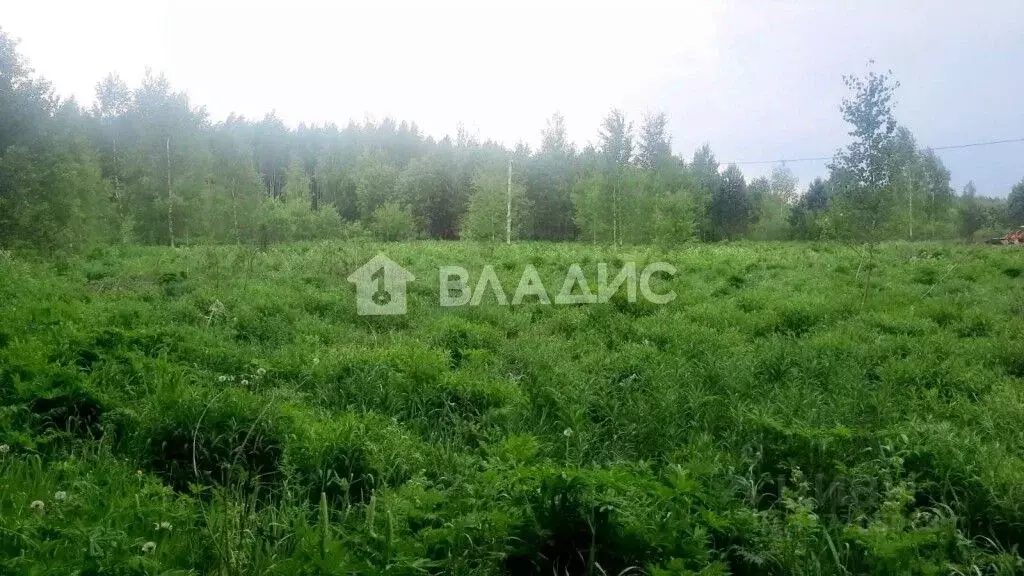 Участок в Нижегородская область, Городецкий муниципальный округ, д. ... - Фото 1