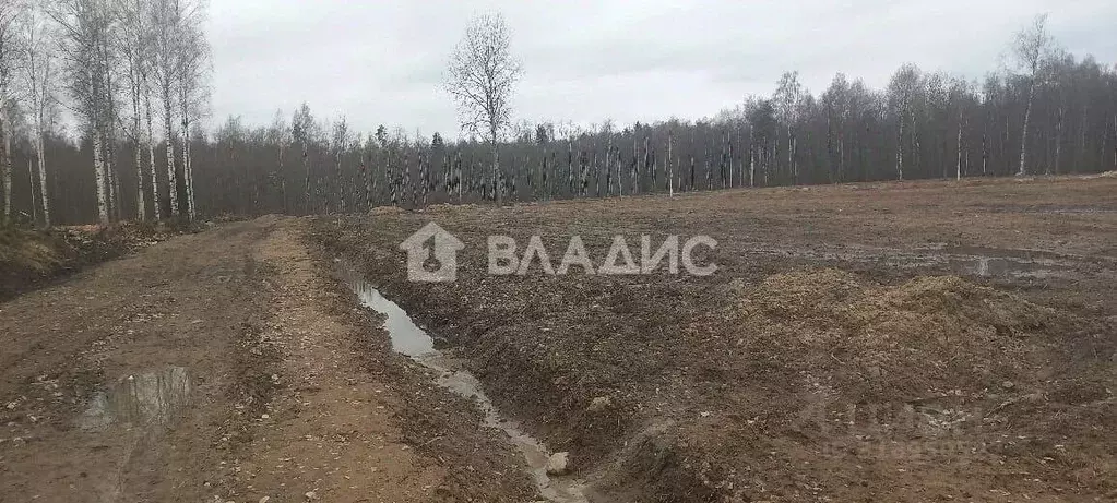 Участок в Ленинградская область, Всеволожский район, Свердловское ... - Фото 0