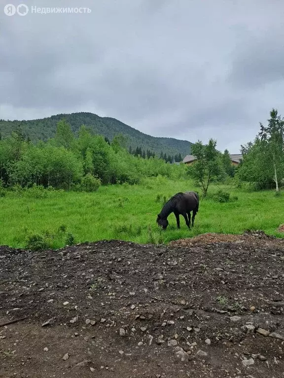Участок в Листвянка, улица Куликова (20 м) - Фото 0
