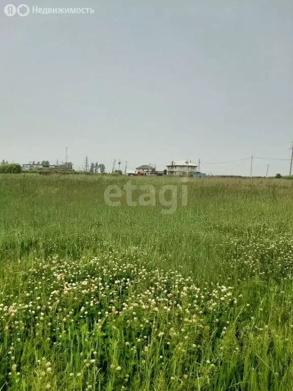 Участок в Амурская область, Благовещенский муниципальный округ, село ... - Фото 1