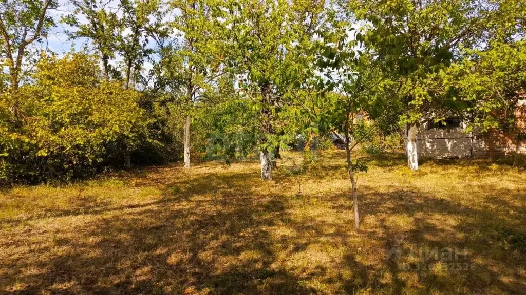 Участок в Ростовская область, Новочеркасск ул. Бирюзовая, 26 (6.0 ... - Фото 1