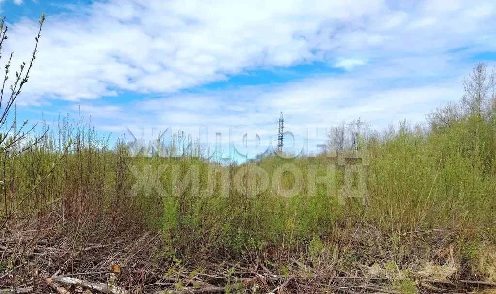 Участок в Архангельская область, Архангельск Южная Маймакса мкр, ул. ... - Фото 2