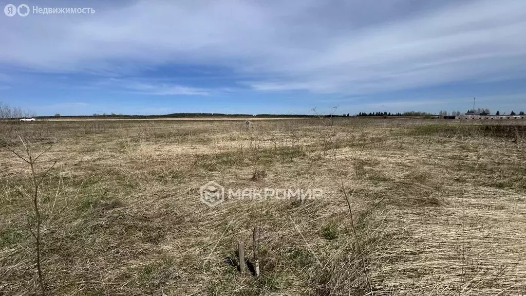 Участок в Пермский муниципальный округ, село Кояново (11.72 м) - Фото 1