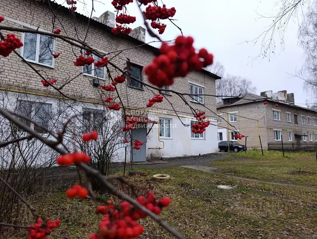 2-к кв. Рязанская область, Шилово рп ул. Рязанская, 165 (41.1 м) - Фото 1