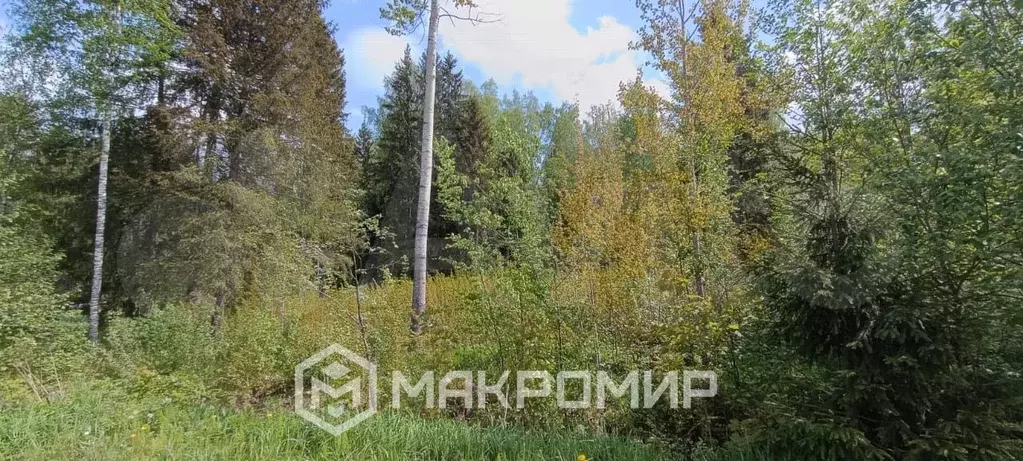 Участок 12 сот. (СНТ, ДНП) - Фото 1