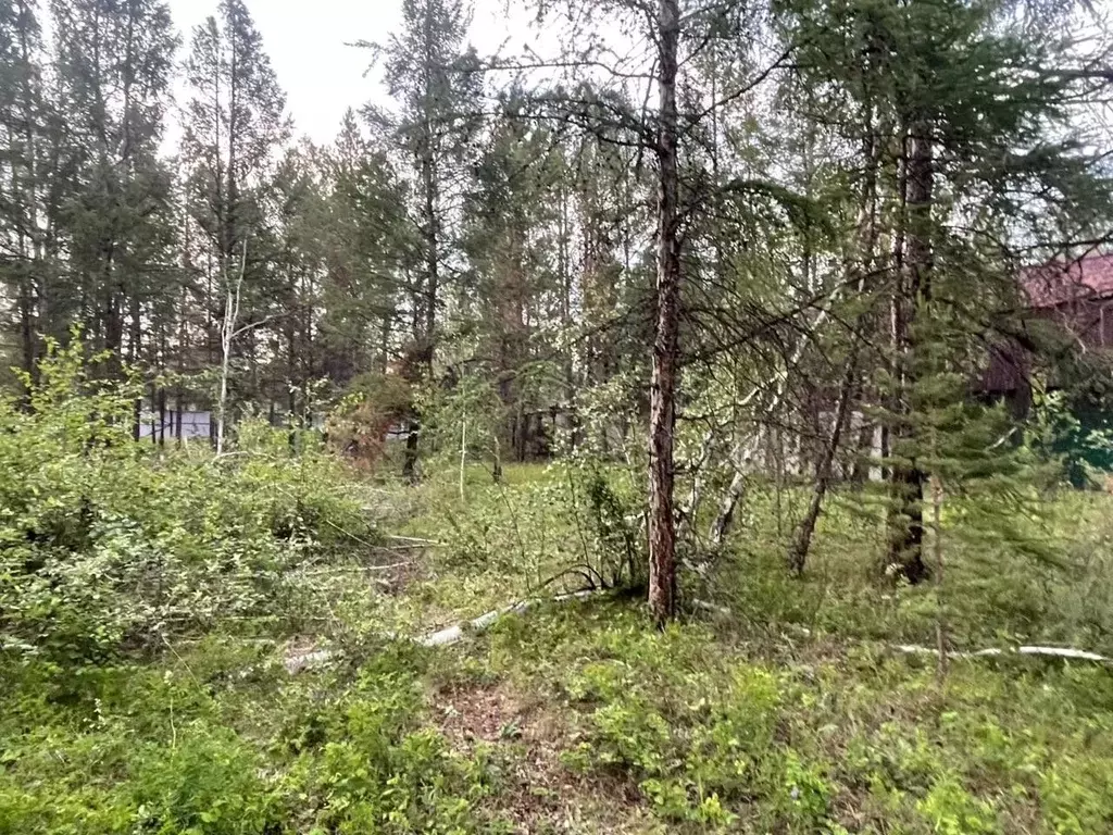 Участок в Саха (Якутия), Якутск городской округ, с. Маган  (6.0 сот.) - Фото 2