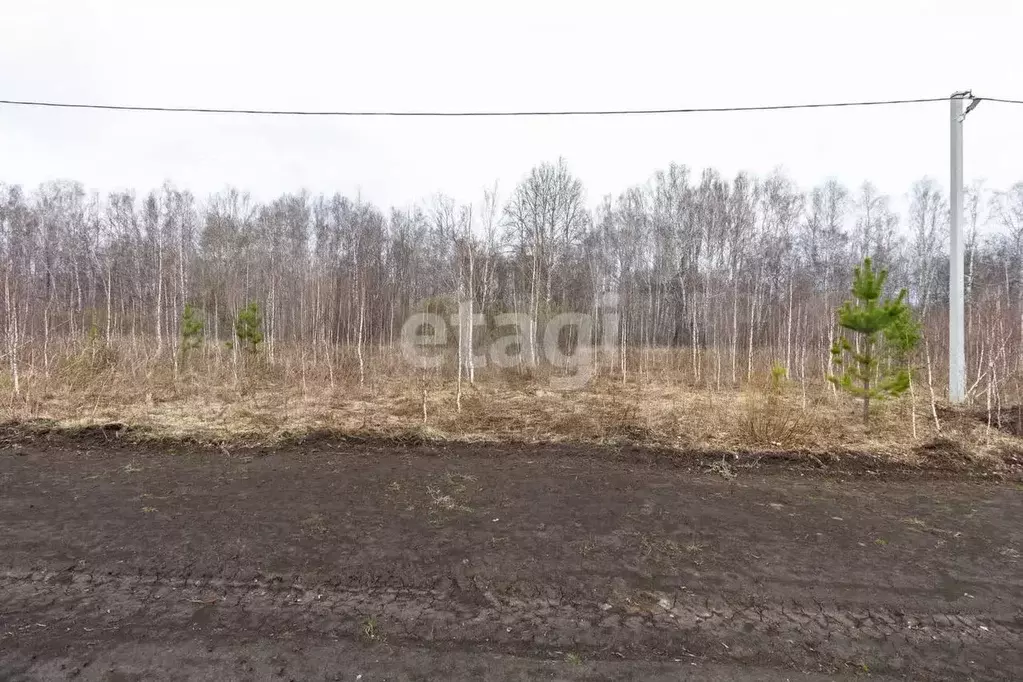 Участок 9,6 сот. (ИЖС) - Фото 0