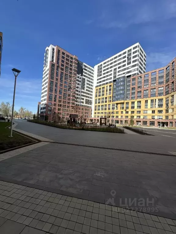 Студия Тверская область, Тверь ул. 2-я Красина, 64 (27.8 м) - Фото 2