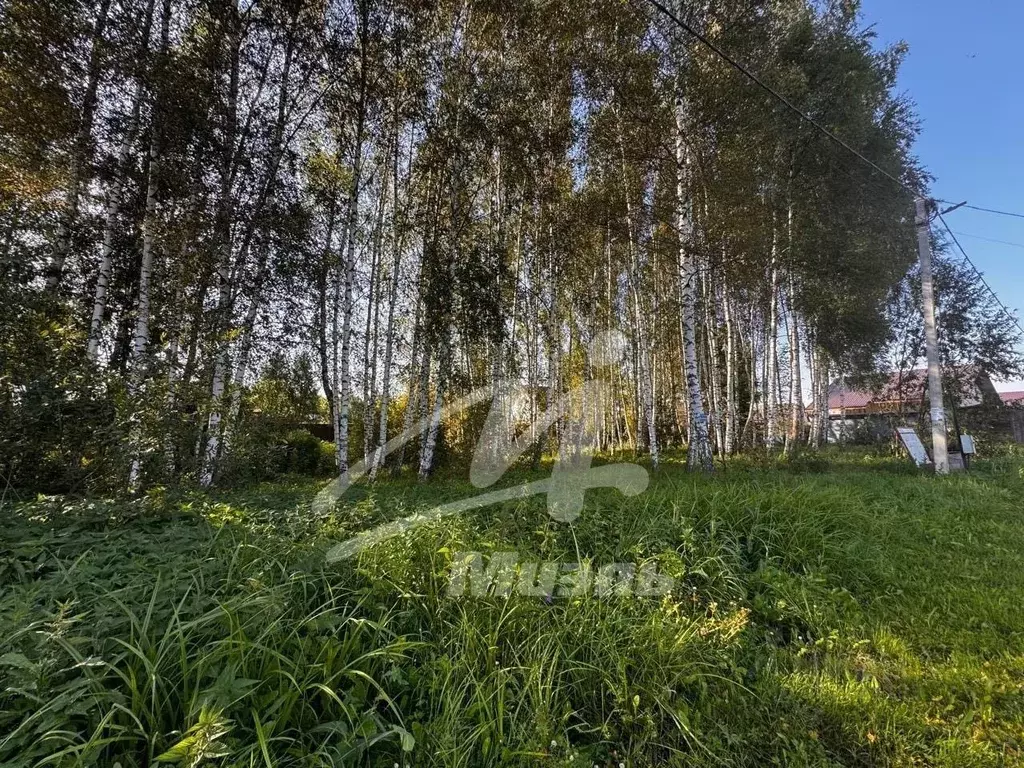 Участок в Московская область, Солнечногорск городской округ, ... - Фото 1