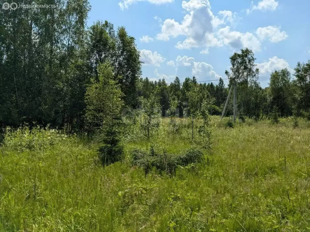 Участок в Московская область, городской округ Солнечногорск, садовое ... - Фото 1