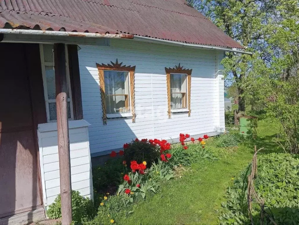 Дом в Саратовская область, Лысогорский район, Новокрасавское ... - Фото 1