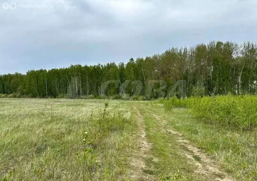 Участок в Каменское муниципальное образование (10 м) - Фото 1