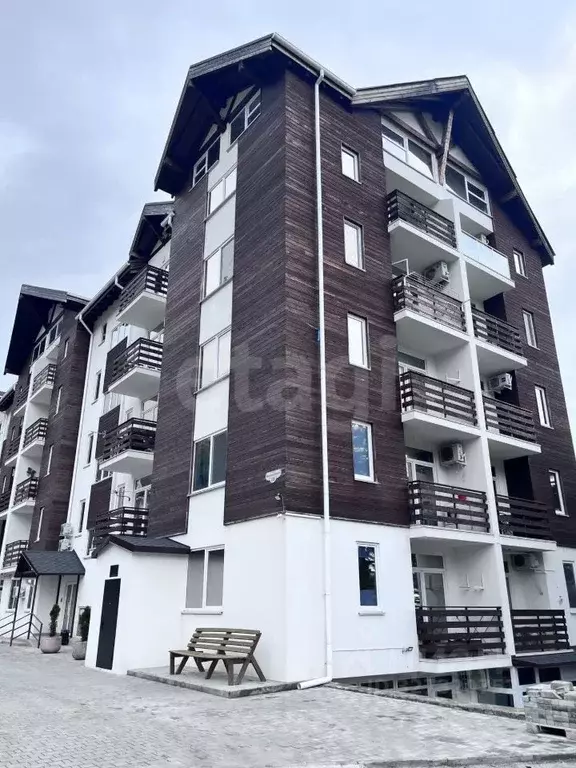 Студия Крым, Ялта муниципальный округ, Массандра пгт ул. Винодела ... - Фото 1