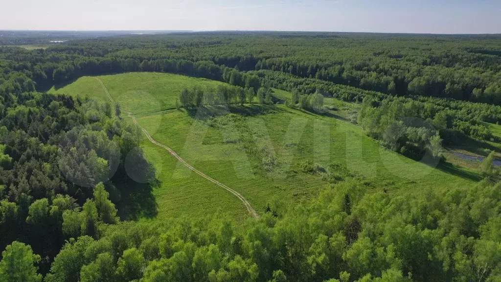 Участок 8,3 сот. (СНТ, ДНП) - Фото 1