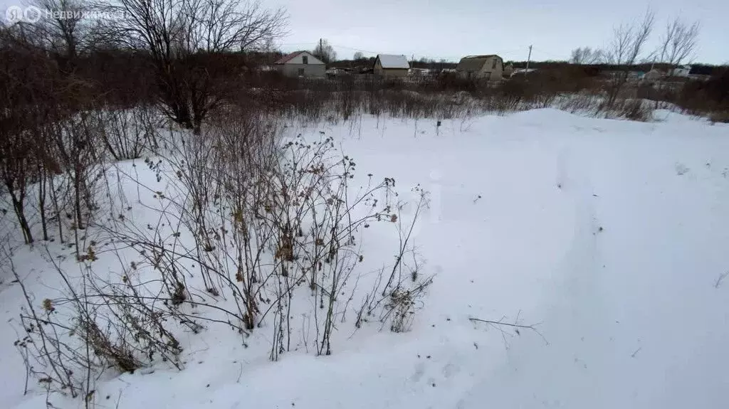 Участок в Наумовский сельсовет, СНТ Майское (11.83 м) - Фото 2