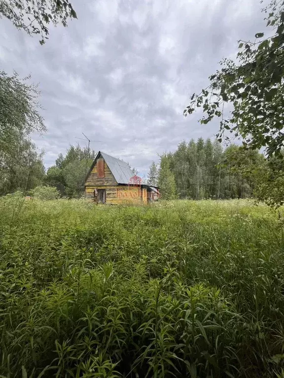 Участок 40 сот. (СНТ, ДНП) - Фото 1